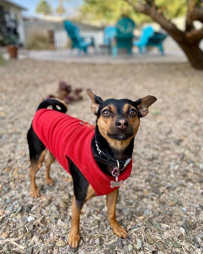 Gooby Fleece Vest Dog Sweater - Red, X-Large - Warm Pullover Fleece Dog Jacket with O-Ring Leash for Small to Medium Dogs