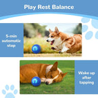 2025 New Dog Ball for Large Dogs, 2PCS Interactive Dog Ball Toy Vibrating Balls, Smart Shaking Pet Bounce Electric Balls Automatic Moving Pet Toy for All Dogs (#A1)