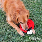 ZippyPaws Squeakie Crawler- No Stuffing Dog Toy to Keep Them Busy, for Small, Medium, & Large Dogs, Squeaky Pet Toy for Boredom, Unstuffed Chew Toy, Soft Plush Puppy Products, Betsey The Ladybug- 10"