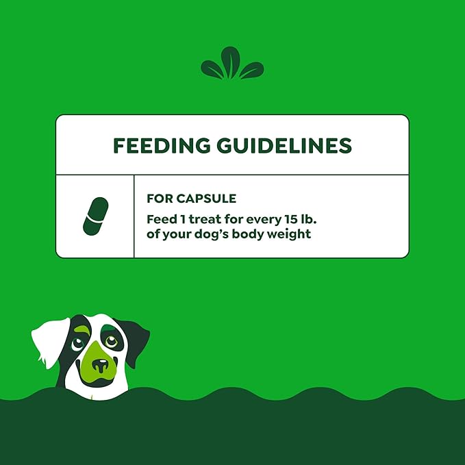 Greenies Pill Pockets for Dogs Large Size, Soft Dog Treats, Hickory Smoke Flavor, 15.8 oz. Pouch (60 Treats)