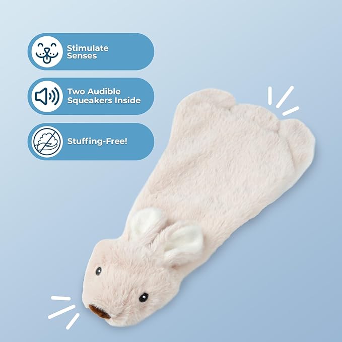 Best Pet Supplies Squeaky Dog Toys with Soft Durable Fabric for Small, Medium and Large Pets Interactive Toy for Indoor Play, Supports Active Biting and Play - Hare, Pig, Large