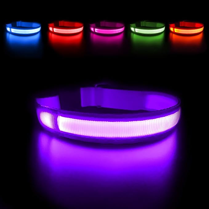 MASBRILL LED Dog Collar - Rechargeable Glow Flashing Purple, Waterproof - 4 Colors, 3 Sizes for Small to Large Dogs (L: 23.62")