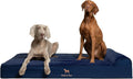 NOAH & PAW Giant Dog Bed XXL 55x45x9.5 Inch, Orthopedic Dog Beds, Eggshell Memory Foam Infused with Cooling Gel, Waterproof, Machine Washable, Includes Inner Cover (Denim Collection)