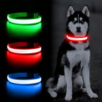 YFbrite Ultra Light Adjustable LED Dog Collar, Light up Dog Collars Rechargeable Glowing in The Dark Collars Visiblity & Safety for Small, Medium, Large Dogs (Red, Large)