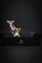 NOAH & PAW Dog Bed, 28x23x7.5 Inch, Orthopedic Dog Beds for Medium Size Pets, Eggshell Memory Foam Infused with Cooling Gel, Waterproof, Machine Washable, Includes Inner Cover (Denim Collection)