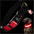DOGWONG LED Dog Collar - Heavy Duty Light up Collars - Rechargeable Waterproof - Lighted Dog Collar for Night Walking, Hiking, Camping(Red,M)