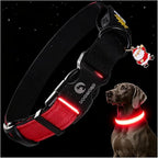DOGWONG LED Dog Collar - Heavy Duty Light up Collars - Rechargeable Waterproof - Lighted Dog Collar for Night Walking, Hiking, Camping(Red,M)