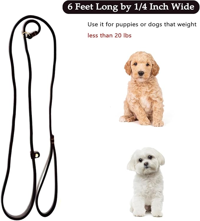 Guiding Star Leather Slip Lead Dog Leash for Small Dogs & Puppies 6 Ft x 1/4 Inch,Luxurious and Lightweight Leather Training Dog Leash for Walking with Soft Handle (Black)