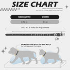 EXPAWLORER Halloween Leather Cat Collar - Adjustable Pet Collar with Rivet Spike for Girl Boy Cats, Punk Accessories with Bell & Durable D-Ring, Star & Moon