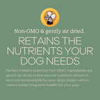 Yumwoof Perfect Kibble Non-GMO Air Dried Dog Food | Improves Allergies & Digestion with Organic Coconut Oil, MCTs & Antioxidants | Vet-Approved Soft Dry Diet | Made in USA (Chicken 3.5lbs)