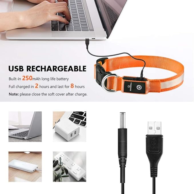 MASBRILL Light Up Dog Collar - LED, Rechargeable, Waterproof Glow Collar for Night Walking with Small, Medium, Large Dogs