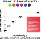 Dog/Puppy Obedience Recall Training Agility Lead - 15ft 20ft 30ft 40ft 50ft Training Leash - Great for Play, Camping, or Backyard (Military Green, 30 Feet)