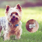 Personalized Dog Cute Paw Pet ID Tag for Pet Collar or Key Chain - cat Name tag, Personalized cat id tag, Kitten Name tag, Kitten id tag (Bone-Shaped-Small: Ocean Blue)