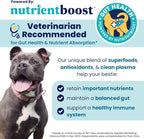 Solid Gold Healthy Dog Treats - Functional Beef Soft Dog Treat w/Salmon Oil & Superfoods for Gut Health & Performance for Active Dogs - Healthy Training Treats for Dogs of All Ages & Sizes - 5.2oz