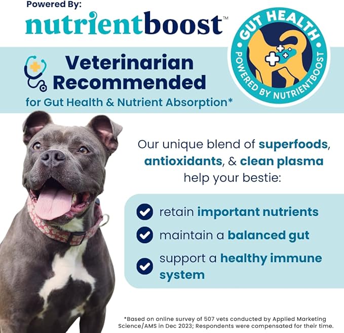 Solid Gold Healthy Dog Treats - Functional Beef Soft Dog Treat w/Salmon Oil & Superfoods for Gut Health & Performance for Active Dogs - Healthy Training Treats for Dogs of All Ages & Sizes - 5.2oz
