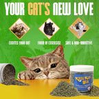 Cat Kicker Toys – 15" Set of 2, Durable Cat & Kitten Kick Sticks with 100% Potent Catnip. Handmade in USA. Encourages Exercise & Interactive Play for Indoor Cats of All Breeds. (Mystery Choice)