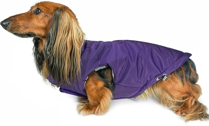DJANGO Reversible Puffer Dog Coat – Warm Winter Dog Jacket & Water-Repellent Insulated Dog Coat w/Harness Hole, Windproof, Adjustable Fit for Small & Medium Dogs, Dachshunds – Violet Purple, X-Small