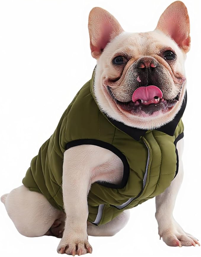 PetWarm Reversible Dog Winter Coat, Windproof Dog Puffer Vest, Soft Vest for Dogs with Hook-and-Loop Strap for Easy Dressing, Waterproof Coat for Dogs with Adjustable Fit, Green, 2XL