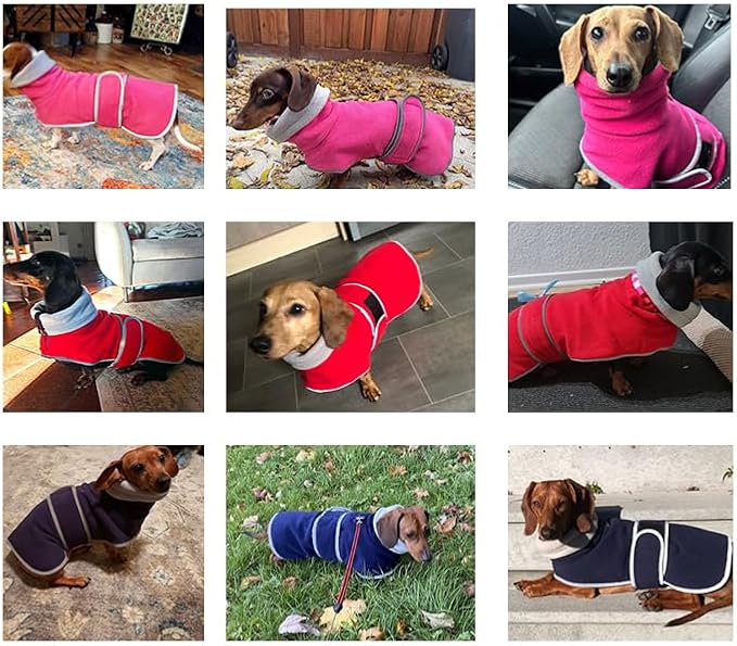 Geyecete Dachshund Sweaters, Dachshund Coat Perfect Dog Winter Coat with Padded Fleece Lining and High Collar, Dog Snowsuit with Adjustable Bands - Blue - L