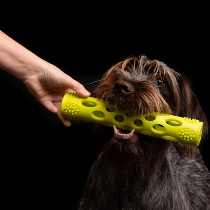 Messy Mutts Totally Pooched Huff'n Puff Stick | 10” x 2” TPR Puzzle Stick for Dogs | 2-in-1 Durable Interactive Toy and Tooth Cleaner | Green