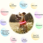 YFbrite Light up Dog Collar, USB Rechargeable LED Puppy Collar Super Bright Adjustable Glowing Dog Lights for Night Walking (Design 2- Pink, Small)