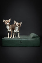 NOAH & PAW Dog Bed, 28x23x7.5 Inch, Orthopedic Dog Beds for Medium Size Pets, Eggshell Memory Foam Infused with Cooling Gel, Waterproof, Machine Washable, Includes Inner Cover (Faux Leather)