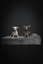 NOAH & PAW Large Dog Bed, 35x25x8.7 Inch, Orthopedic Dog Beds, Eggshell Memory Foam Infused with Cooling Gel, Waterproof, Machine Washable, Includes Inner Cover (Velvet Collection)