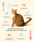 Freeze-Dried Cat Food, 97% Animal Origin Soft Dry Food for Cats Kitten, High Protein Healthy Freeze Dried Cats Raw Treat & Topper (Pork Recipe - 14 Ounce)