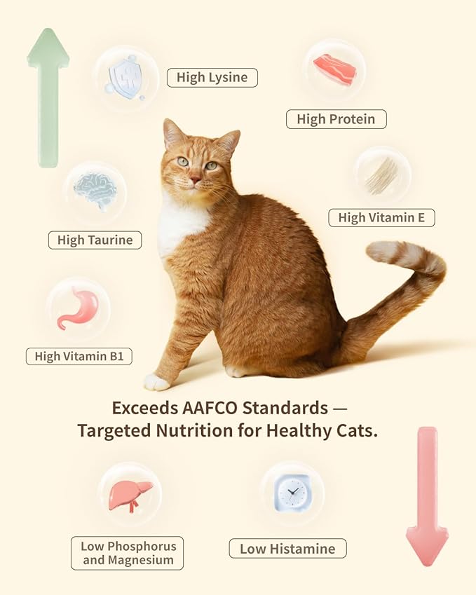 Freeze-Dried Cat Food, High Protein Healthy Freeze Dried Cat Treat & Topper (Beef Recipe - 0.7 Ounce)