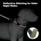 Plutus Pet Reflective Dog Collar with Aviation Aluminum Buckle, Neoprene Padded for Comfort, Lightweight, Heavy Duty Nylon Collar for Puppy Small Medium Large Dogs (Ranger Green, M)