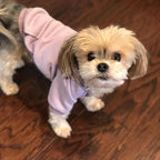 Jecikelon Winter Dog Hoodie Sweatshirts with Pockets Warm Dog Clothes for Small Dogs Chihuahua Coat Clothing Puppy Cat Custume (Purple, Large)