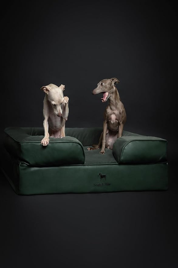 NOAH & PAW Large Dog Bed, 35x25x11 Inch, Orthopedic Dog Beds, Eggshell Memory Foam Infused with Cooling Gel, Inner Cover, Waterproof, Machine Washable (Faux Leather Sofa Collection)