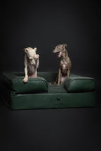 NOAH & PAW Large Dog Bed, 35x25x11 Inch, Orthopedic Dog Beds, Eggshell Memory Foam Infused with Cooling Gel, Inner Cover, Waterproof, Machine Washable (Faux Leather Sofa Collection)