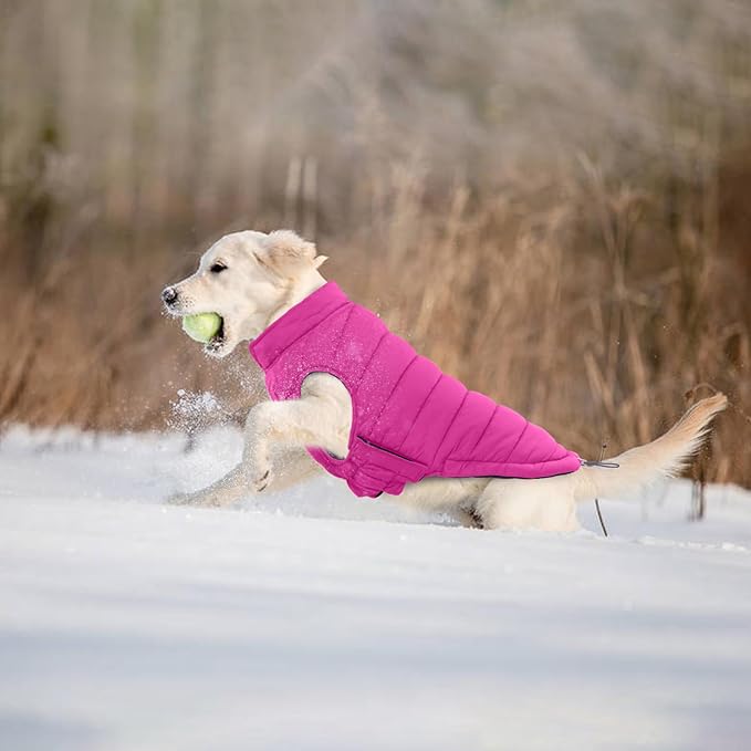 Lelepet Reversible Dog Coat Waterproof Dog Jacket Windproof Puffer Vest for Winter Warm Lightweight Coats for Large Dogs Adjustbale Hook & Loop Pet Apparel with Leash Hole, Boxer, Weimaraner, 2XL