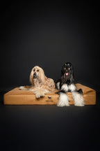 NOAH & PAW Giant Dog Bed XXL 55x45x9.5 Inch, Orthopedic Dog Beds, Eggshell Memory Foam Infused with Cooling Gel, Waterproof, Machine Washable, Includes Inner Cover (Faux Leather)