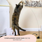 Whiskertons Interactive Bird Simulation Cat Toy Set, Interactive Cat Toys for Indoor Cats, Cat Feather Toy, Self-Holding Suction Base, 5 Replacement Birds (10 Replacement Sticky Pads)