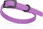 Dogline Biothane Waterproof Dog Collar Strong Coated Nylon Webbing with Black Hardware Odor- Proof for Easy Care Easy to Clean High Performance Fits Small Medium or Large Dogs, Amethyst Purple