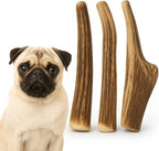 WhiteTail Naturals - Antlers for Small Dogs (3 Pack) Deer Antler Dog Chew Bones for Small Aggressive Chewers - Long Lasting Horn Chew Toys - Naturally Shed