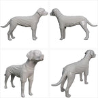 Lovelonglong Ribbed Dog T-Shirt Cotton Knitted Dog Sweaters for All Season Pet T-Shirts for Large Medium Small Dogs Off White M