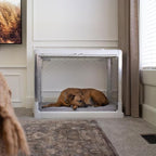Diggs Snooz Memory Foam Dog Bed - Ideally Sized Revol Dog Crate Pad - Premium Orthopedic Pet Bed for Crate or Home - Grey, Large
