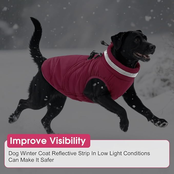 SAWMONG Dog Coat, Warm Dog Winter Coat, Waterproof Fleece Jacket, Cold Weather Dogs Jacket (XS,Rosered)