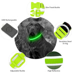 YFbrite Light up Dog Collar, USB Rechargeable LED Puppy Collar Super Bright Adjustable Glowing Dog Lights for Night Walking (Green, Large)