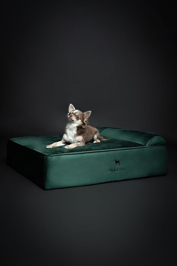 NOAH & PAW Dog Bed, 28x23x7.5 Inch, Orthopedic Dog Beds for Medium Size Pets, Eggshell Memory Foam Infused with Cooling Gel, Waterproof, Machine Washable, Includes Inner Cover (Velvet Collection)