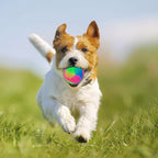 FineInno 4 pcs Light Up Dog Balls Flashing Elastic Ball Glow in The Dark Interactive Pet Toys for Puppy, Cats, Dogs