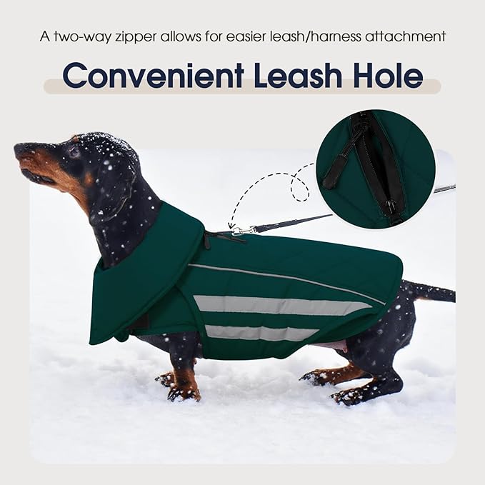 IECOii Dog Coat - Waterproof, Windproof Winter Coats for Light Rain & Snow Cold Weather, Reflective & Adjustable, Warm Fleece Lined, Dachshund, Green, Size M