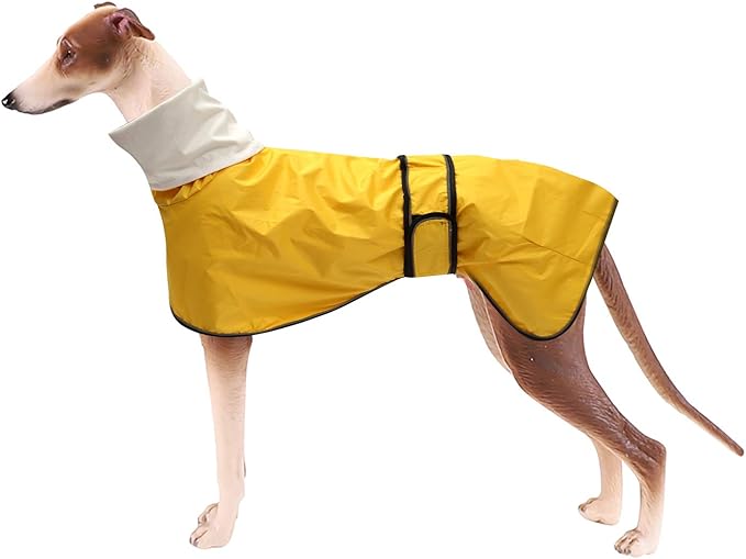 Dog Raincoat with Reflective Bar, Rain/Water Resistant, Adjustable Vest - Dog Raincoats for Greyhounds, Lurchers and Whippets - Yellow - XL