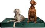NOAH & PAW Giant Dog Bed XXL 55x45x9.5 Inch, Orthopedic Dog Beds, Eggshell Memory Foam Infused with Cooling Gel, Waterproof, Machine Washable, Includes Inner Cover (Velvet Collection)