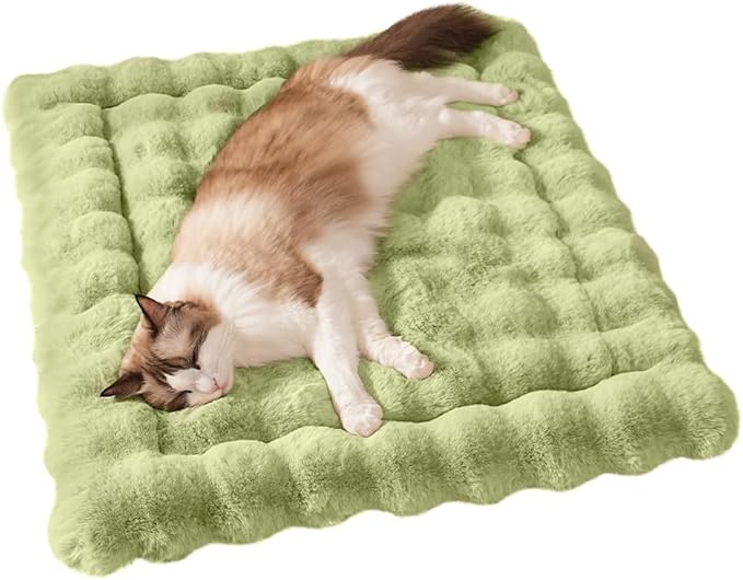 Cat Beds for Indoor Cats Faux Fur Pet Mat Cute Kitten Plush Bed with Non-Slip Bottom for Carriers/Sofa Dog & Puppy Friendly 27 x 20 Inch Large Green