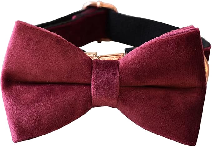 Dog Collar Custom Personalized Engraved Name and Phone Number for Puppy Small Medium Large Pets (S, Red Wine)