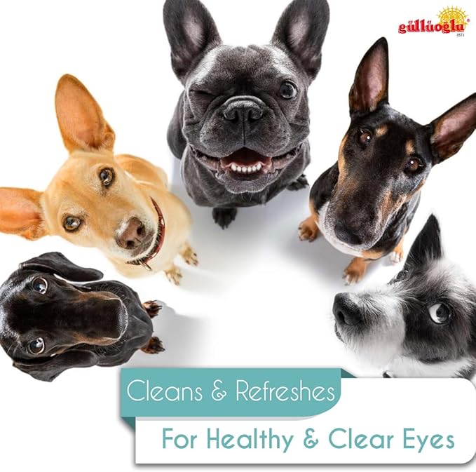 GÜLLÜOGLU 60ml Pet Eye Drops & Eye Wash for Dogs & Cats – Fast Relief for Itching, Irritation, Pink Eye & Allergy Symptoms – Gentle, Safe, Natural Formula for All Animals – Large 60ml Bottle